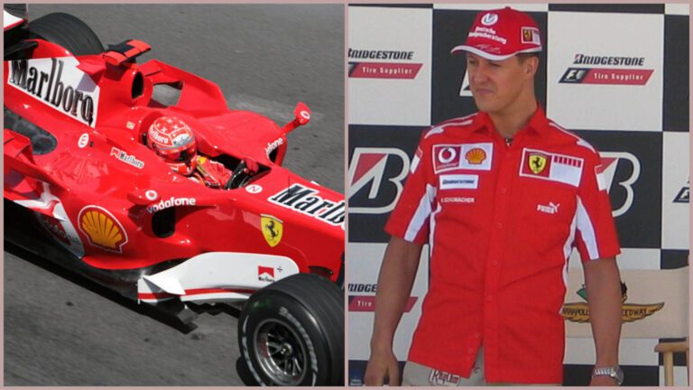 michael schumacher rollstuhl garten